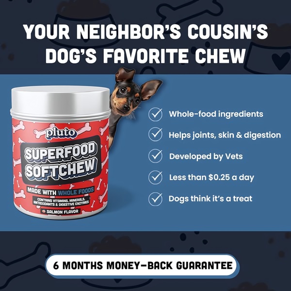 This creative uses a direct benefit-list approach to explain the value of a dog supplement, pairing a clean product shot with a persuasive feature breakdown.